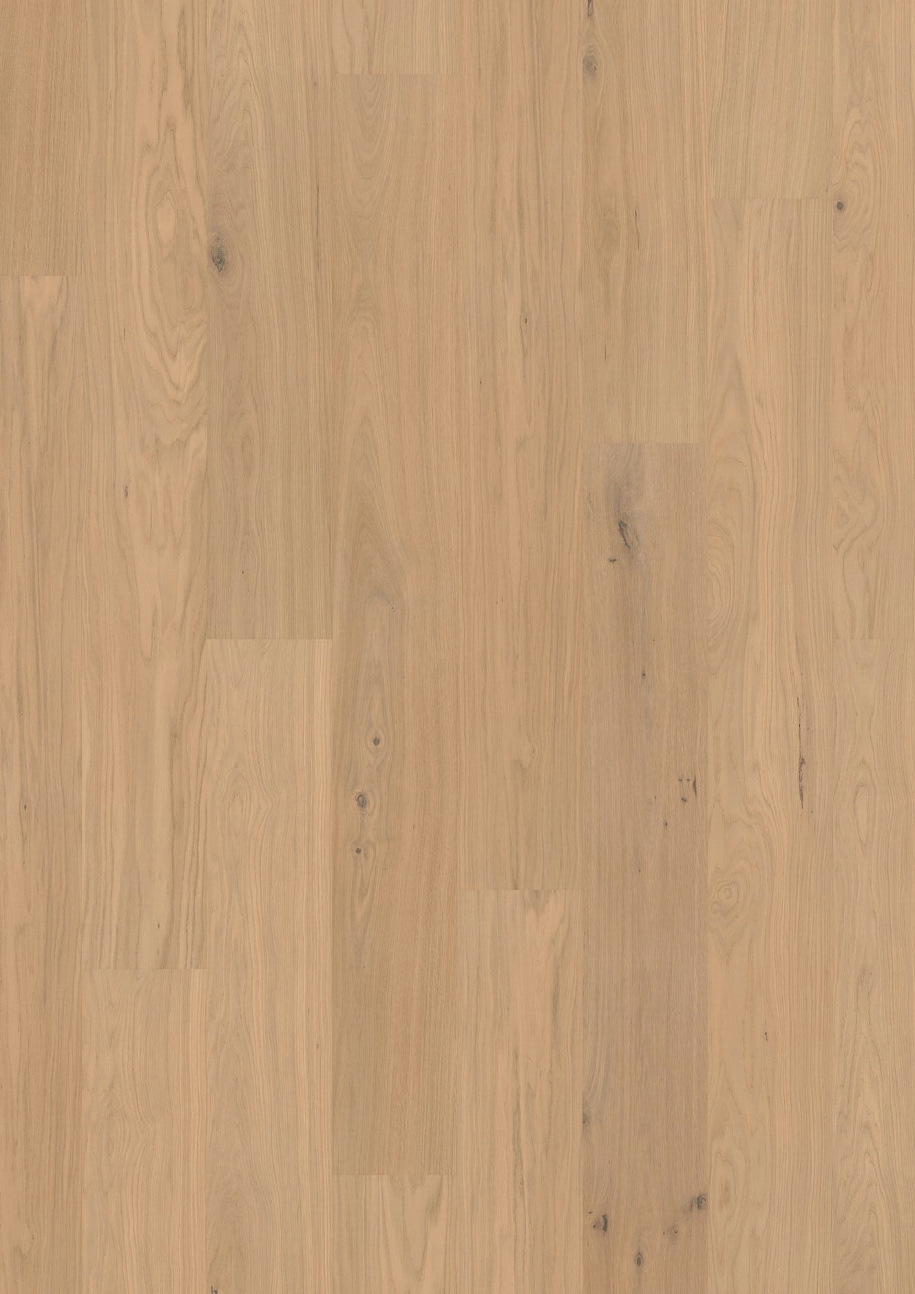 Helle Holzoberfläche mit natürlicher Maserung und vereinzelten kleinen Astlöchern.