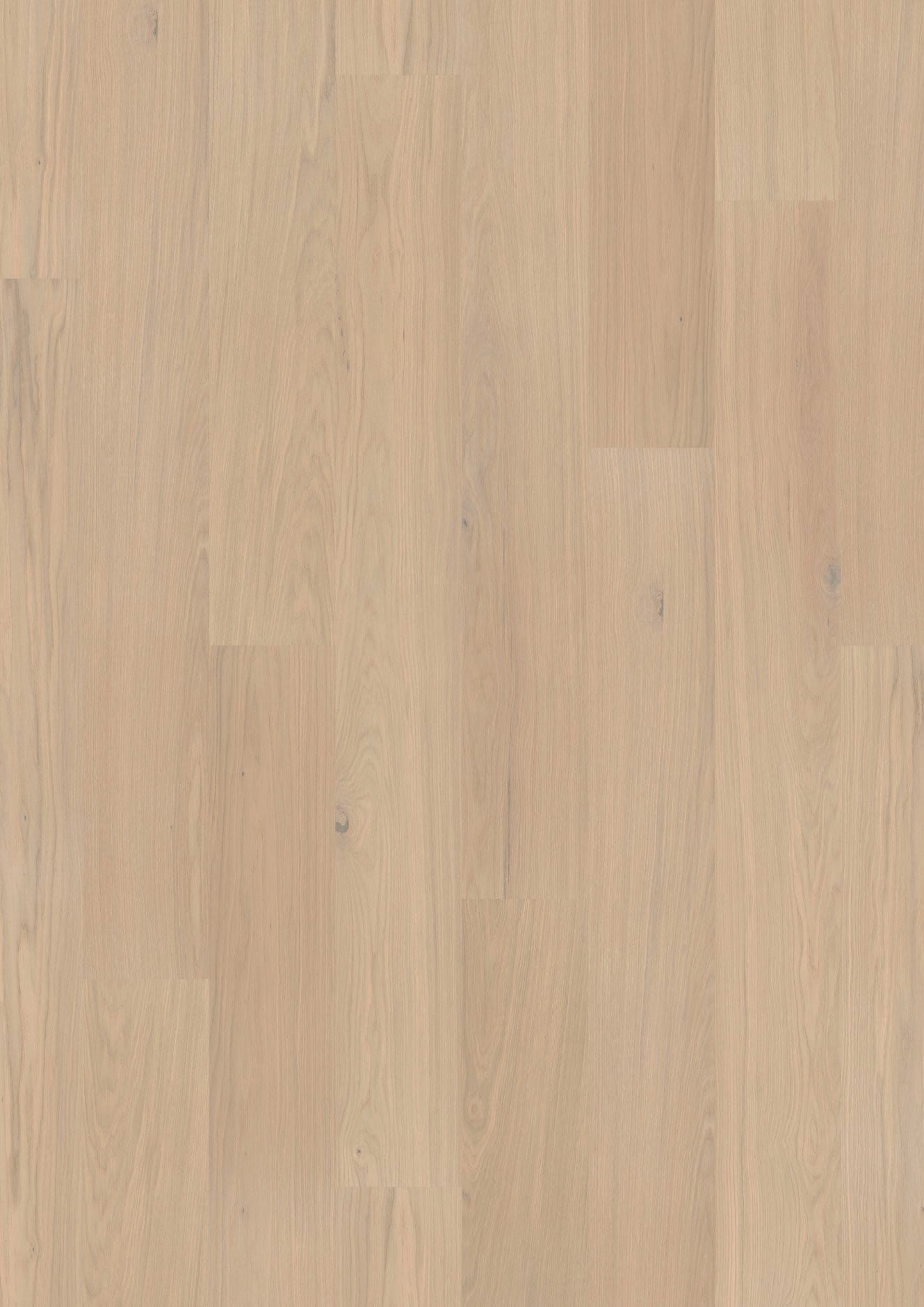Helle Holzoberfläche mit dezent sichtbarer Maserung. Eichenholz, das in länglichen Planken verlegt ist.