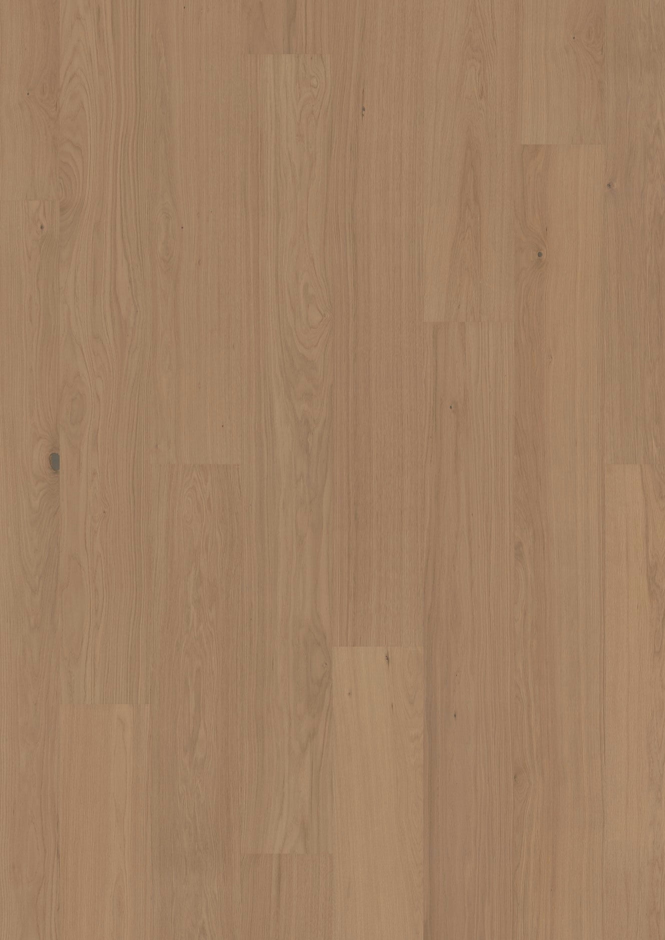 ter Hürne Hywood Eiche Thousand Islands Schlossdiele