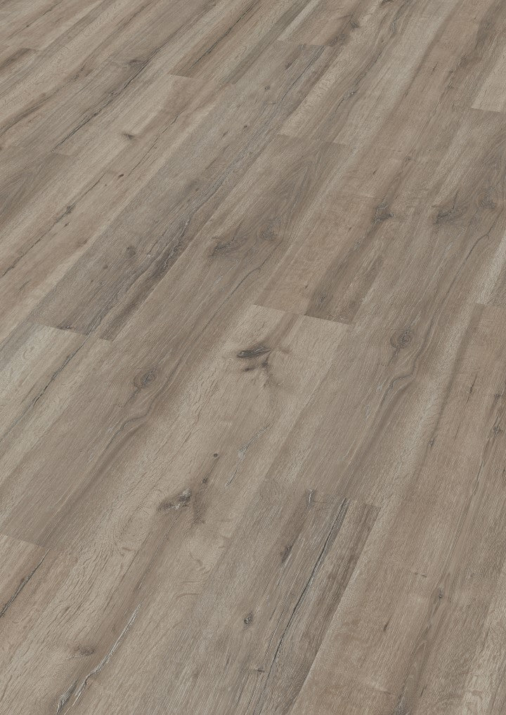Laminatboden MeisterDesign. laminate LC 55 S Grey Oak 06671