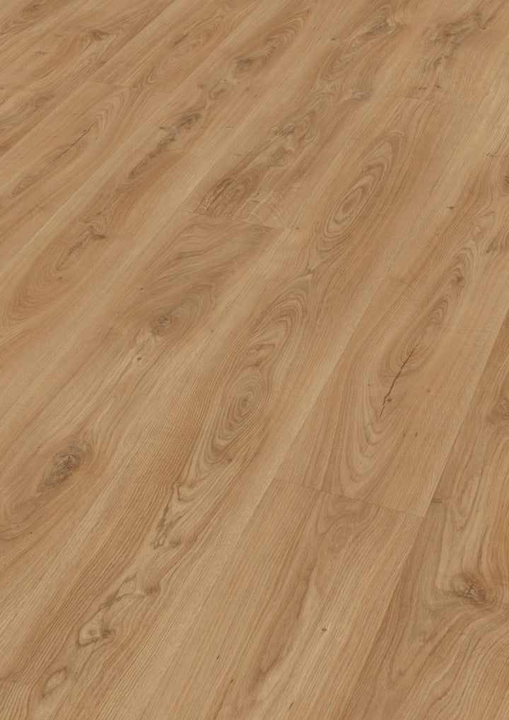 Designboden MeisterDesign. next DL 500 S Schlosseiche natur 06836