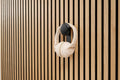 ter Hürne SilentDesign LivingWall Haken 'Haakon' schwarz Small
