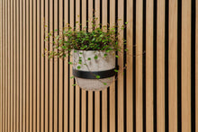 ter Hürne SilentDesign LivingWall Blumentopfring 'Soeren'