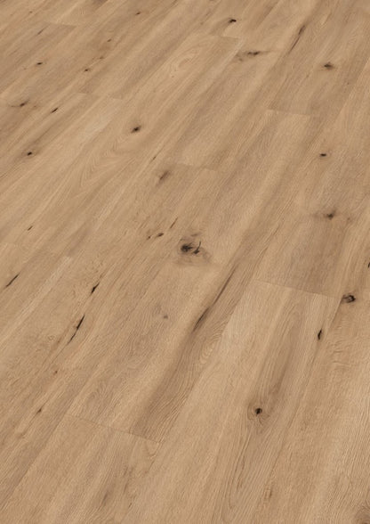Designboden MeisterDesign. next DD 500 S Feldeiche hell 06843