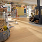 Parkettboden MeisterParkett. longlife PD 400 Eiche harmonisch pure 09013