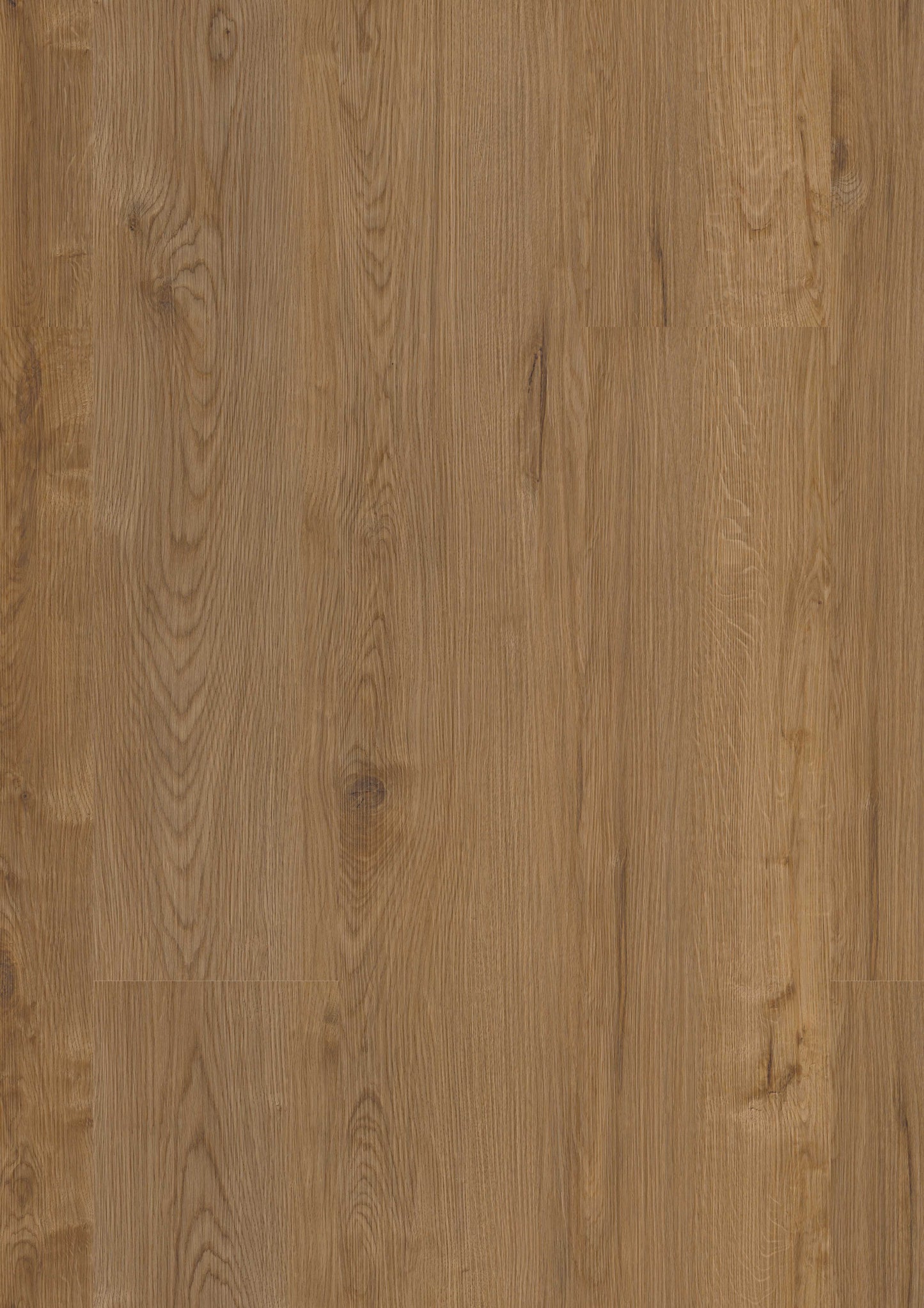 Klickvinyl Eiche CapeTown Oak