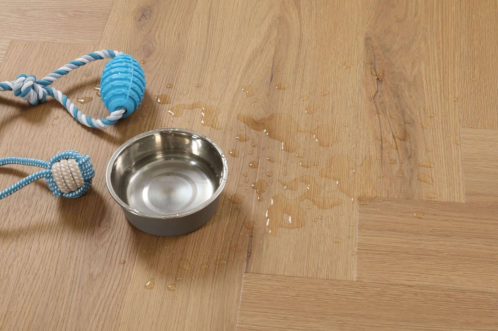 Auf hellem Holzboden stehen ein silberner Napf mit Wasser, daneben zwei Hundespielzeuge aus Seil, Wasser ist verschüttet.
