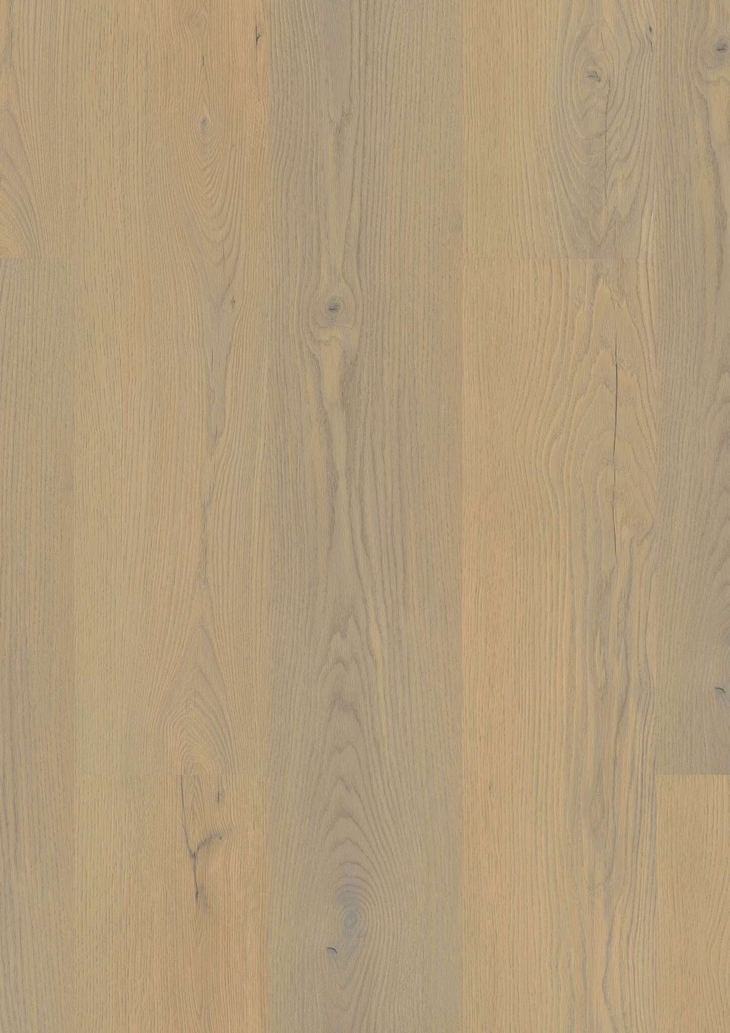 Mehrere nebeneinander liegende Holzplanken mit sichtbarer Maserung und Astlöchern in hellem, natürlichen Braunton.