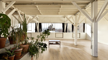 Klebevinyl Eiche Paris Oak