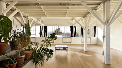Klickvinyl Eiche Toronto Oak